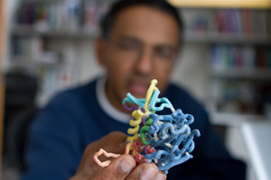 A South Asian scientist (out of focus) holds a three dimensional model of a protein complex (in focus).