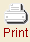 Print Icon