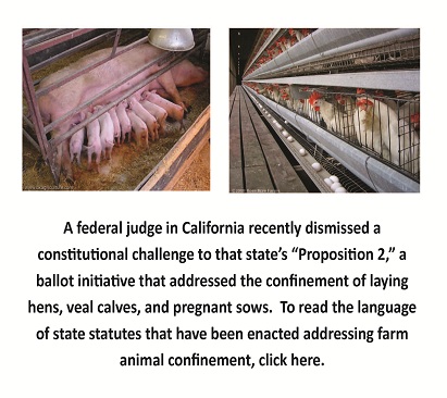 Farm Animal Confinement Statutes
