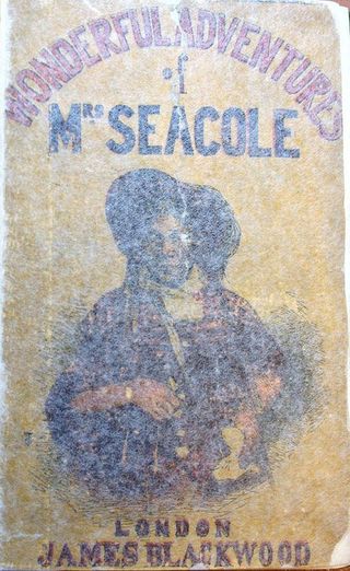 Adventures of Mrs Seacole
