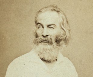 Walt Whitman, Half-Length Portrait, Seated in Chair, Facing Left