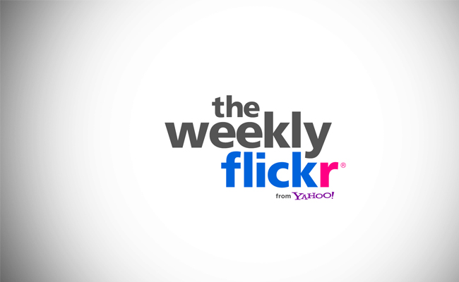 Introducing The Weekly Flickr: A new series that goes behind the lens of the Flickr community