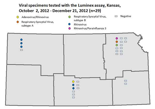 Lumiex Test Results