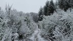 A low down shot of a country path, trees and bushes either side. The whole scene is covered in snow.