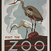 Visit the zoo (LOC)