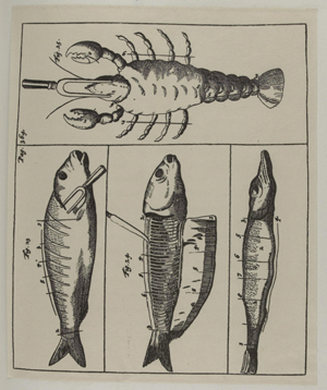 PLATE FROM LE GRAND ECUYER TRANCHANT.