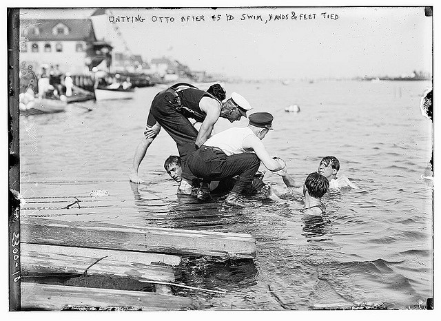 Untying Otto after 45 yd. swim - hands and feet tied (LOC)