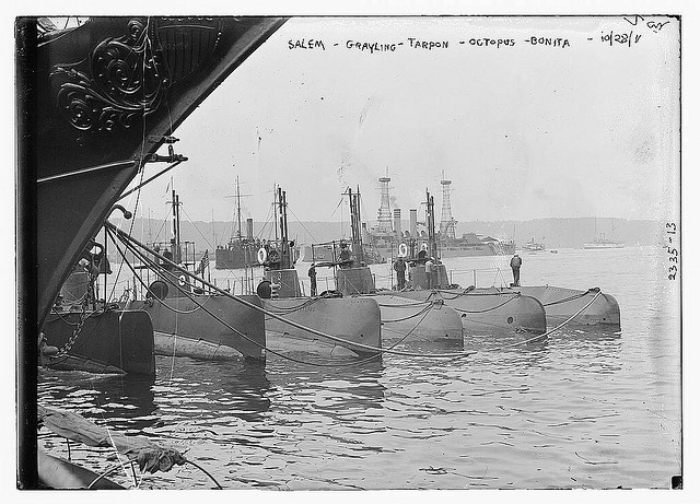 SALEM [i.e. SALMON], GRAYLING, TARPON, OCTOPUS, and BONITA (LOC)