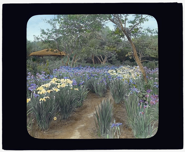 ["Grey-Croft," Stephen Swete Cummins house, Huntting Lane, East Hampton, New York. (LOC)