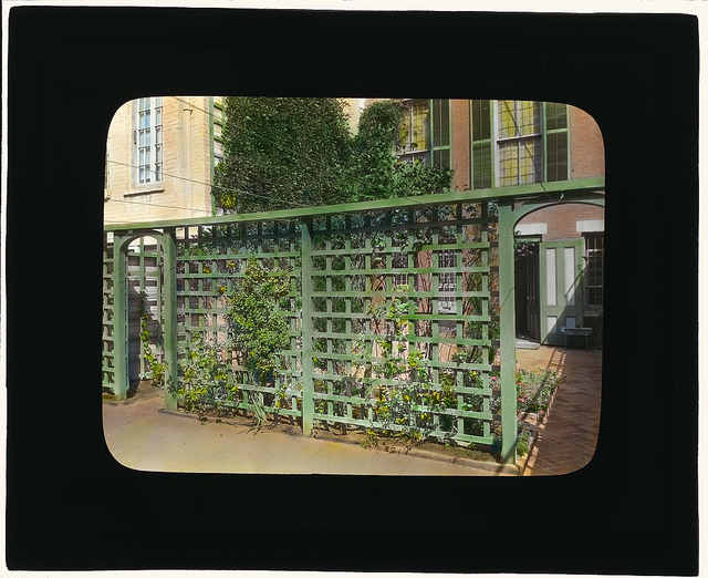 [Unidentified townhouse garden, probably in New York, New York. (LOC)