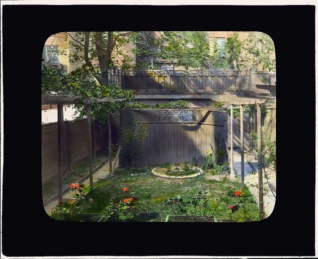 [Unidentifed back yard garden, probably in New York, New York. (LOC)