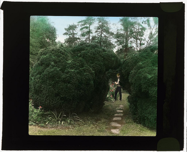 ["Redlands," Sally Randolph Carter house, Carter's Bridge, one mile east of intersection of Route 708 and Route 627, Covesville, Albemarle County, Virginia. (LOC)