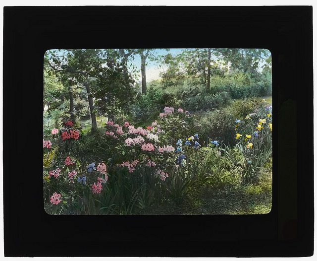 [Dr. Charles William Richardson house, Chevy Chase, Washington, D.C. (LOC)