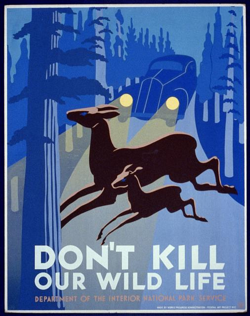 Don't kill our wild life (LOC)