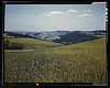 Farmland in the Catskill Mountains, Richmondsville, N.Y.  (LOC) by The Library of Congress