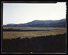 Farmland along the upper Delaware River in New York state  (LOC) by The Library of Congress