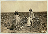 Jewel and Harold Walker, 6 and 5 years old, pick 20 to 25 pounds of cotton a day ... Location: Comanche County ... Oklahoma (LOC) by The Library of Congress
