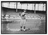 [Bruno Betzel, St. Louis NL (baseball)]  (LOC) by The Library of Congress