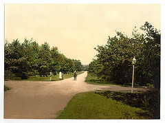 [Bagshot Road, Camberley, England]  (LOC)