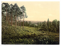 [Brackendale, Estade, Camberley, England]  (LOC)