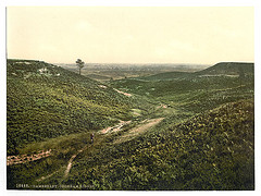 [Chobham Ridges, Camberley, England]  (LOC)