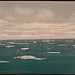 [Drifting ice, Spitzbergen, Norway] (LOC)