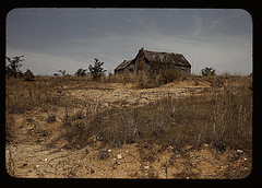 Cabin in Southern U.S.  (LOC)