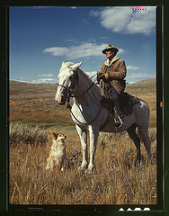 Shepherd with his horse and dog on Gravelly Range, Madison County, Montana  (LOC)