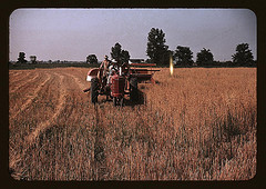 Harvesting oats, southeastern Georgia?  (LOC)