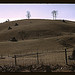 Field of a mountain farm along the Skyline Drive in Virginia  (LOC)