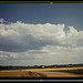 Landscape on the Jackson farm, vicinity of White Plains, Ga.  (LOC)