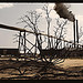 Sawmill at the Greensboro Lumber Co., Greensboro, Ga.  (LOC)