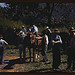 Mountaineers and farmers trading mules and horses on "Jockey St.," near the Court House, Campton, Wolfe County, Ky.  (LOC)