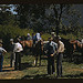 Mountaineers and farmers trading mules and horses on "Jockey St.," near the Court House, Campton, Wolfe County, Ky.  (LOC)