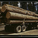 Truck load of ponderosa pine, Edward Hines Lumber Co. operations in Malheur National Forest, Grant County, Oregon  (LOC)