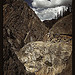 Million dollar highway [U.S. 550] is cut through massive rocks in Ouray County, Colorado  (LOC)