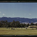 Horse breeding ranch, Grant Co., Oregon  (LOC)