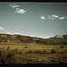 Farmland in the vicinity of Mt. Sneffels, Ouray County, Colorado  (LOC)