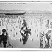 Belgian women in oyster beds  (LOC)