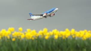 Plane taking off over a field of yellow flowers (Copyright: Getty Images)