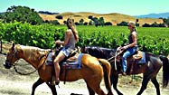 In Los Olivos, pairing wine with the equine