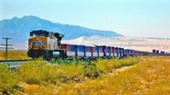 A peaceful interlude at the Mojave National Preserve