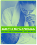 Journey to Parenthood, our pregnancy book