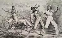 Effects of the Fugitive-Slave Law