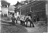 Tibetan Books Starting the Journey to the Library of Congress, 1926.