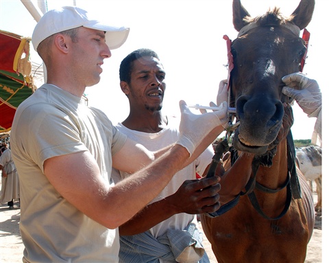 National Guard's State Partnership Program helps build relationships with African nations