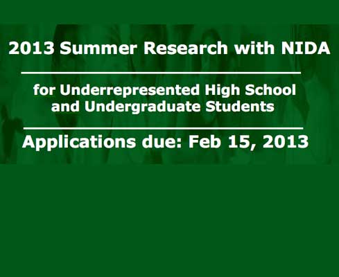 Summer research opportunities for underrepresented high school and undergraduate students