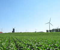 Wind Turbines on a Farm.