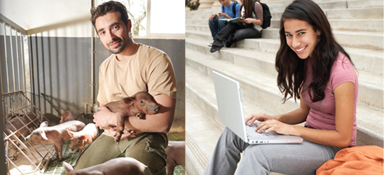Images of a student working with farm animals and a student using a laptop on the steps of a university
