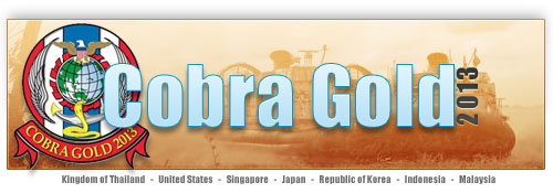 Cobra Gold 2013